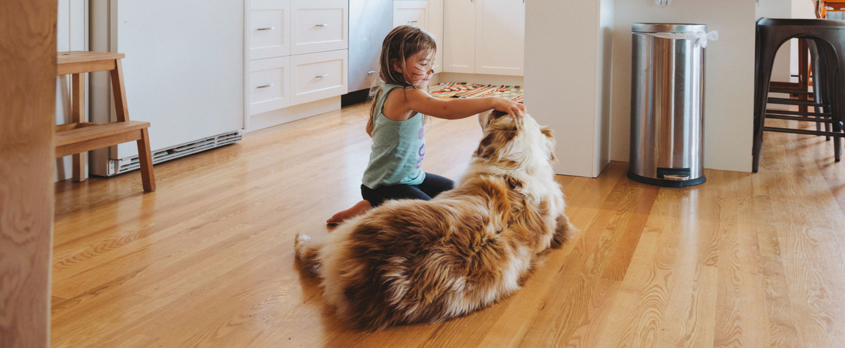 How to Protect Wood Floors from Paws, Claws, and In-Laws